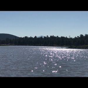 Meet your Posher, Steph